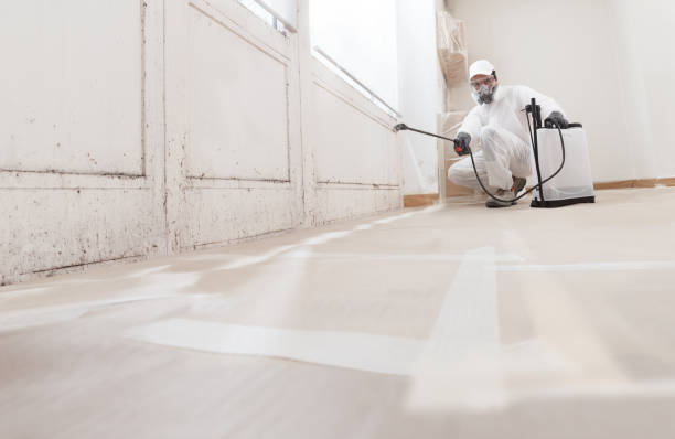 24/7 Emergency Mold Removal experts in North, VA