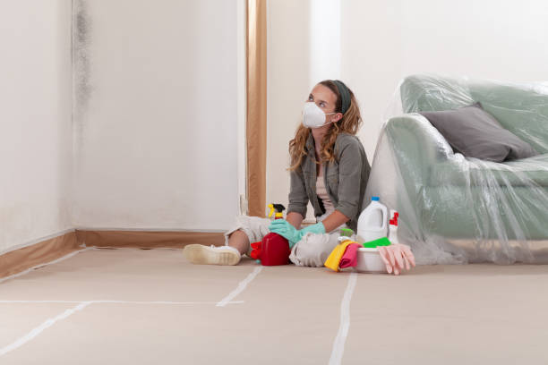 Reliable Mold Removal contractor in North, VA by WQB Mold Removal